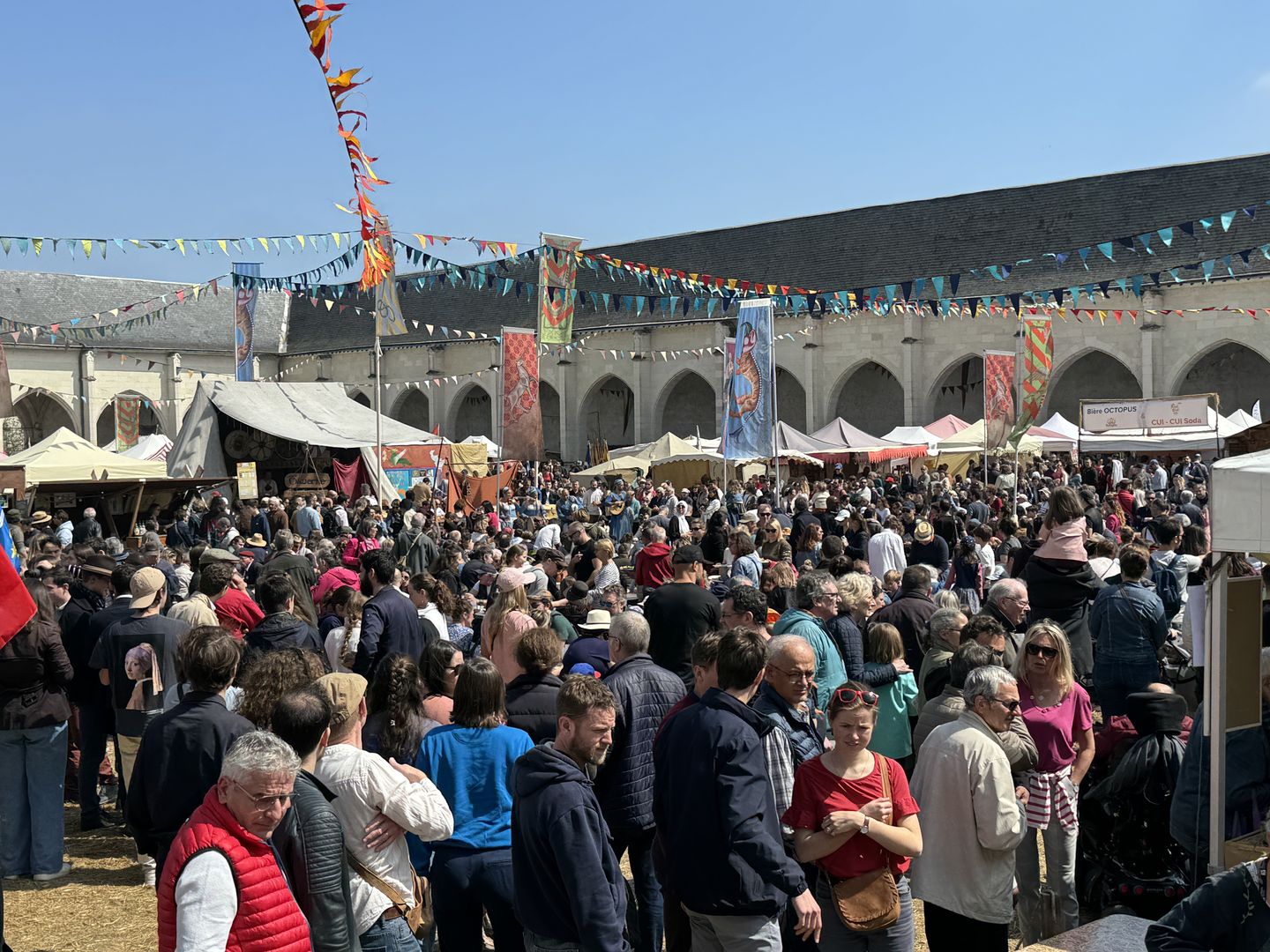 Marché Médiéval du Campo Santo, Orléans 2024 - ApHV